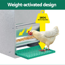 Vance Automatic Chicken Feeder